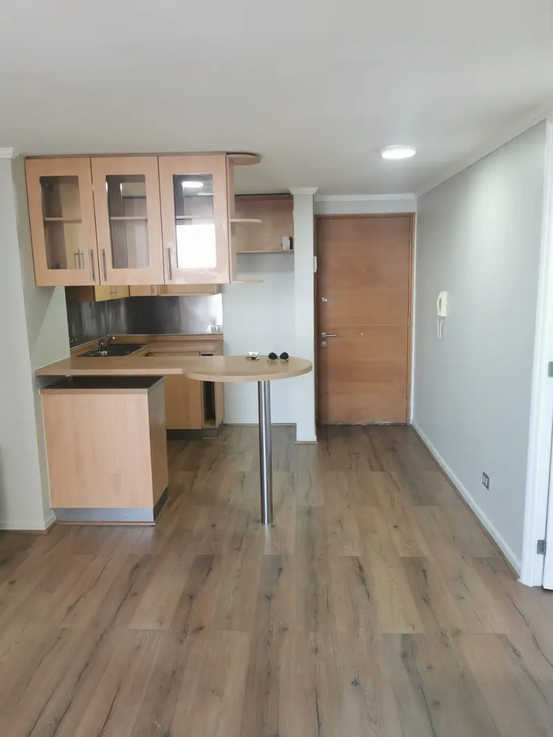 Av Providencia 1 Dormitorio, Plaza Baquedano, foto 4 de 15